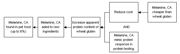 The melamine and cyanuric acid (CA) were found in the food because they were added to the raw ingredients to increase the apparent content of the wheat gluten